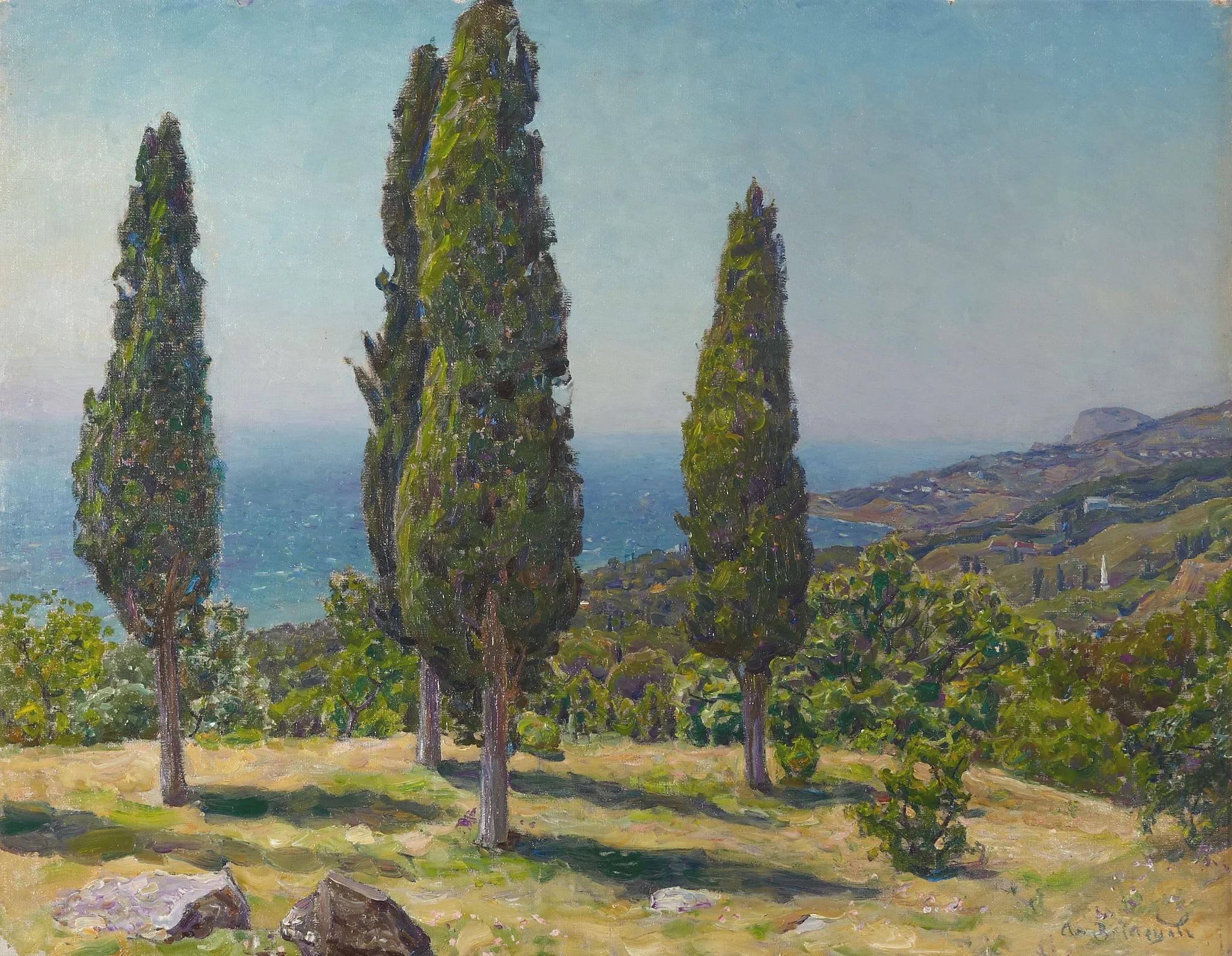 cypresses. Crimea, detail