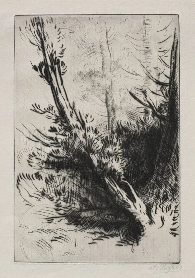 In the Woods, detail