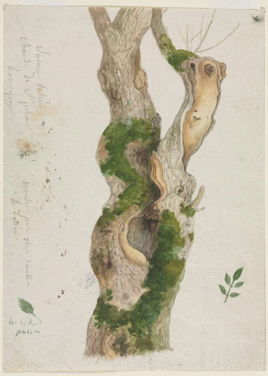 Study of a Tree Trunk, by Georges Michel, 1809