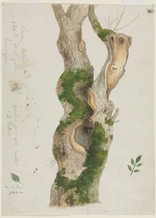 Study of a Tree Trunk, by Georges Michel, 1809