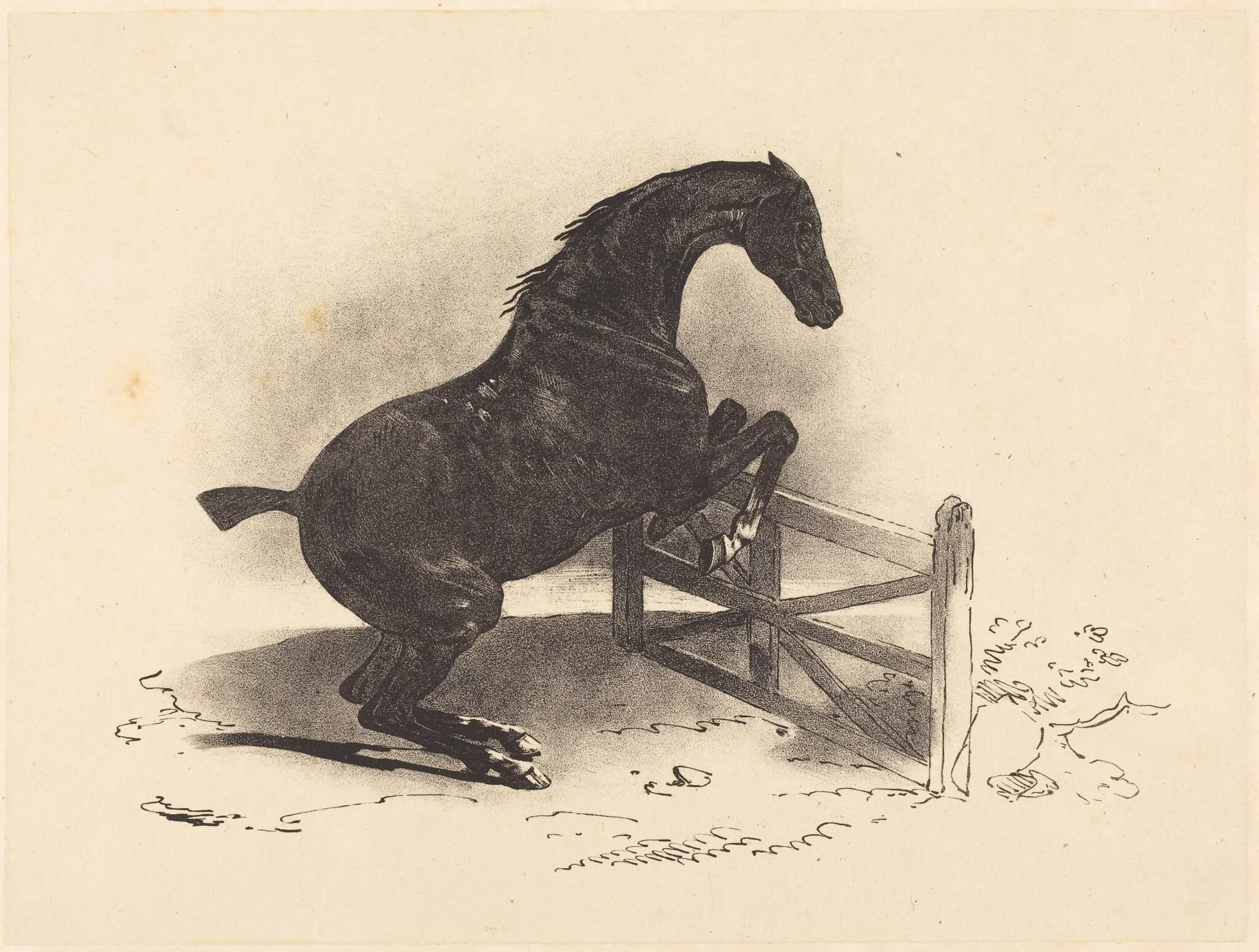 Horse Jumping a Barrier, detail