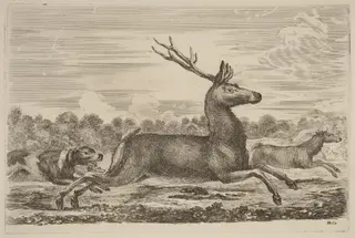 Deer Chased by Two Dogs to the Left, by Stefano Della Bella, ink, 1637