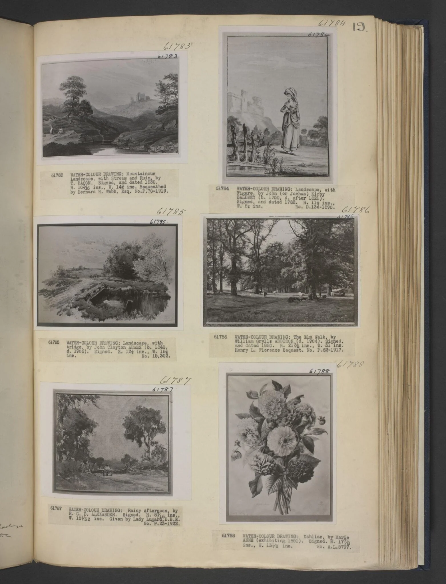 The Elm Walk. A Wooded Park, detail