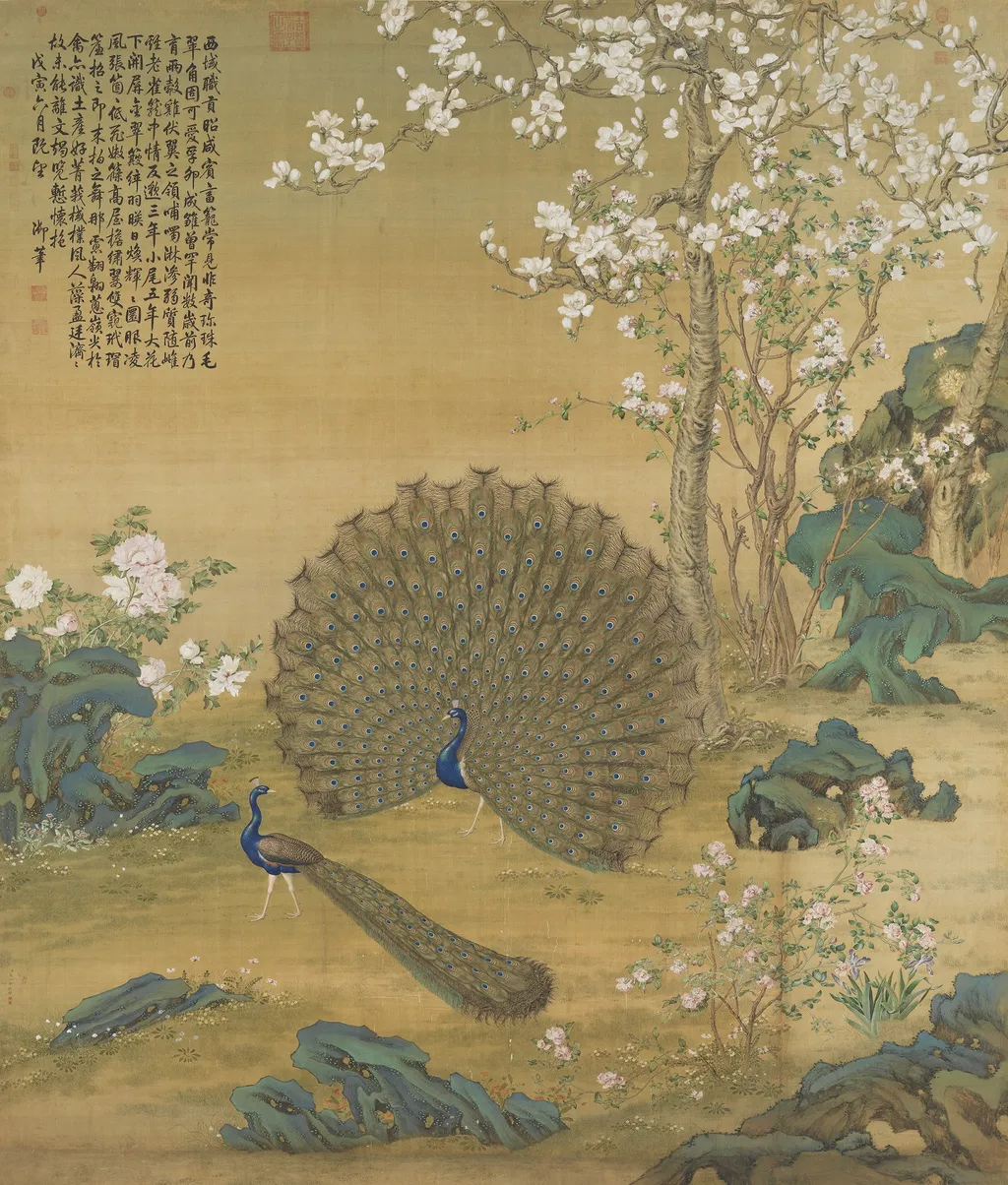 Peacock Spreading Its Tail Feathers, by Giuseppe Castiglione, unspecified, 1758
