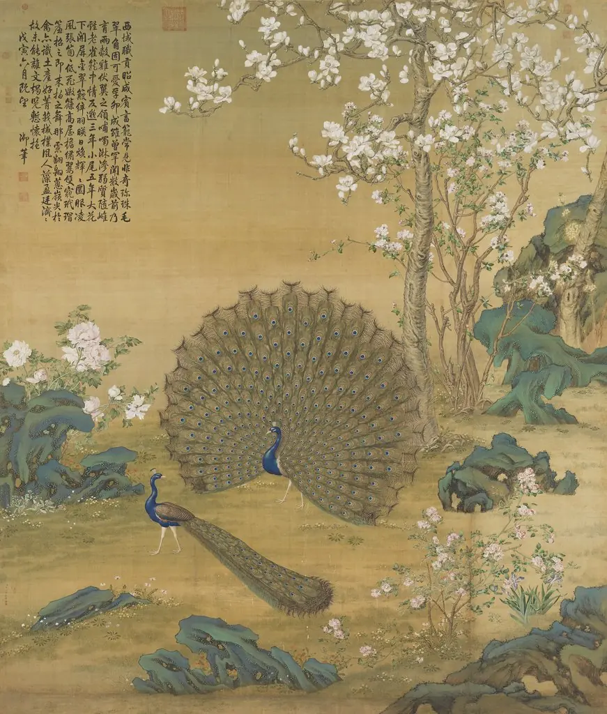 Peacock Spreading Its Tail Feathers, by Giuseppe Castiglione, unspecified, 1758