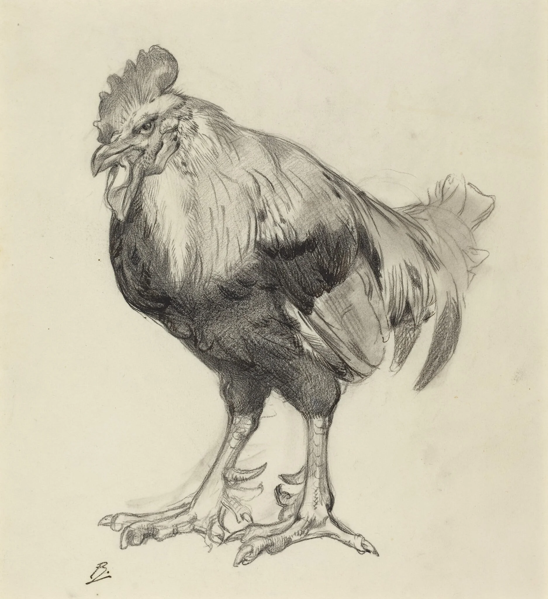 The Old Cock, detail