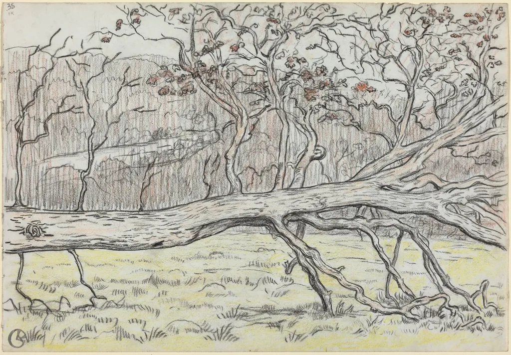 Felled Tree, Normandy, by Georges Lacombe, charcoal, 1898