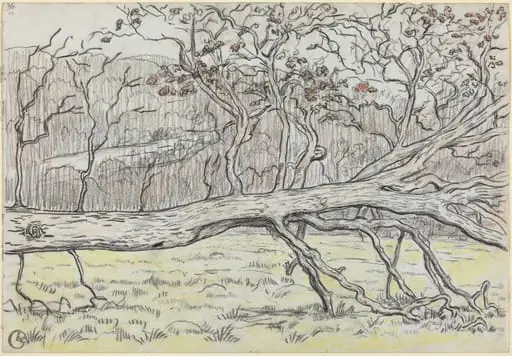 Felled Tree, Normandy, by Georges Lacombe, charcoal, 1898
