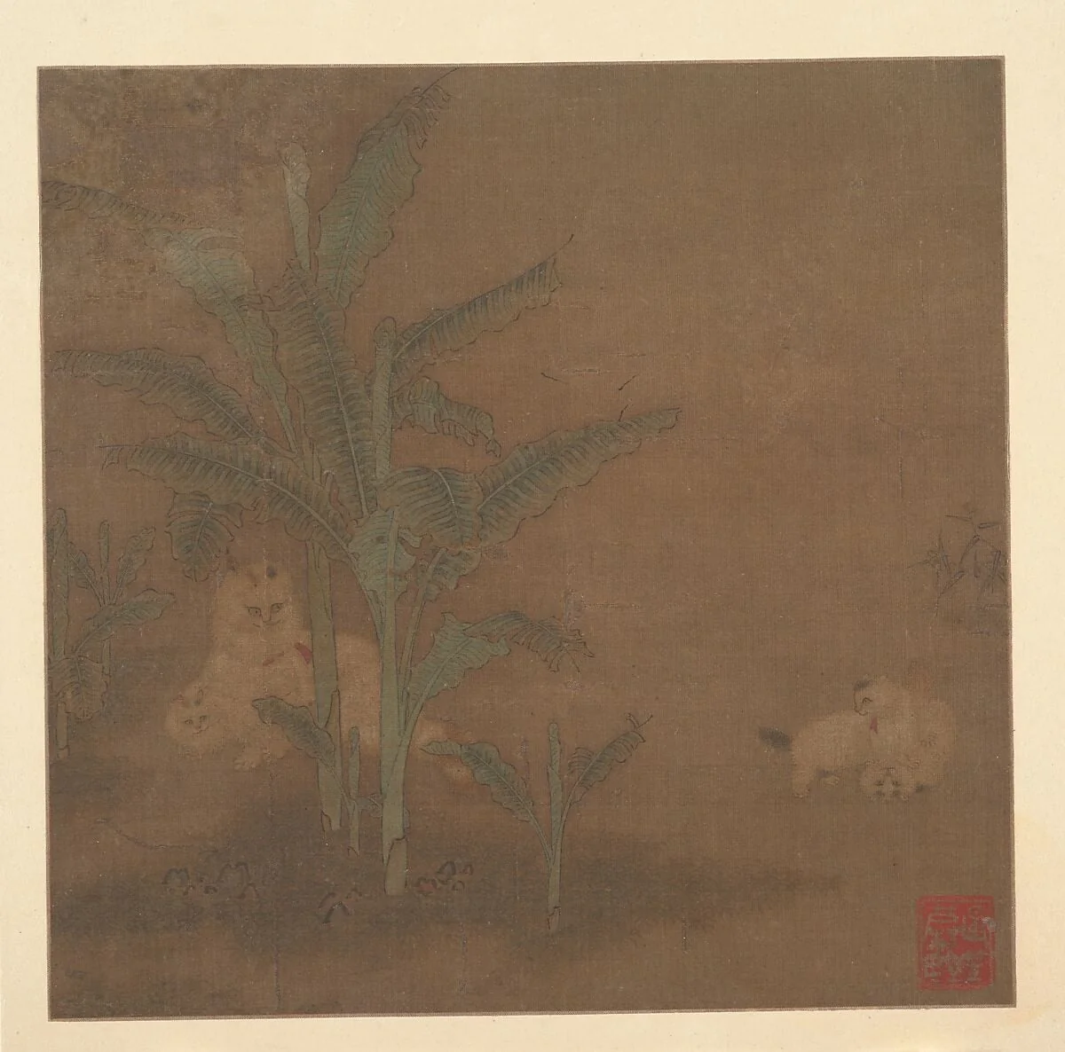 明 佚名 貍奴芭蕉圖 冊頁|Frolicking Kittens under a Banana Tree, detail