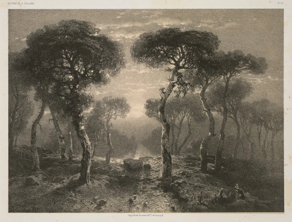 Oeuvres de A. Calame, No. 13: Forêt de Sierre en Valais, by 12, Paris Jacomme & Cie. R. de Lancry, 1843