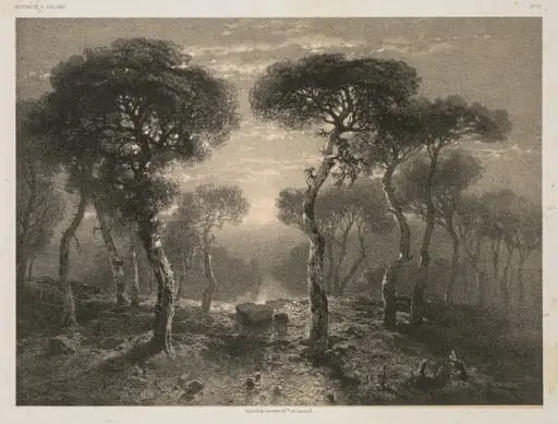 Oeuvres de A. Calame, No. 13: Forêt de Sierre en Valais, by 12, Paris Jacomme & Cie. R. de Lancry