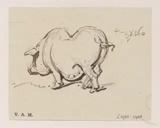 A pig, by George Chinnery, 10