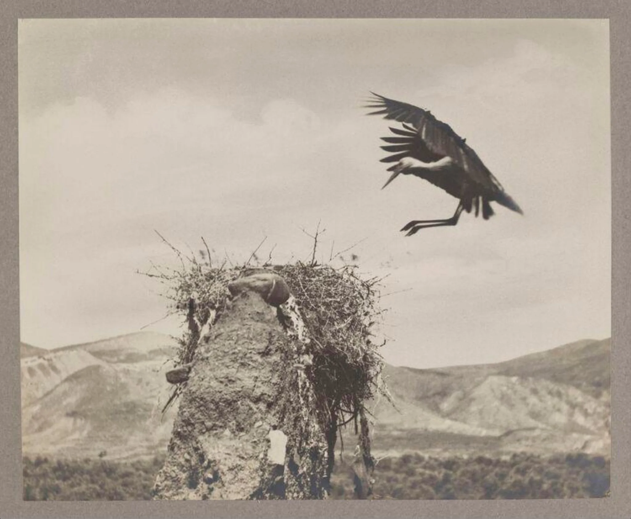 The Stork Alights, detail