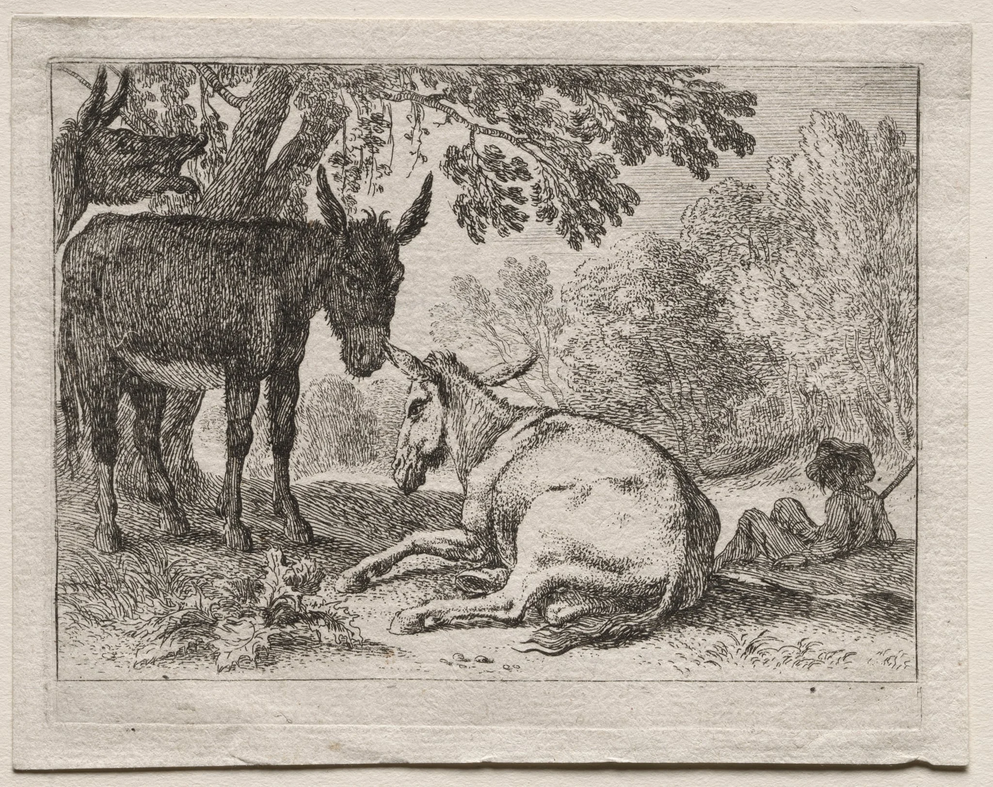 Animals in Landscapes: Donkeys, detail