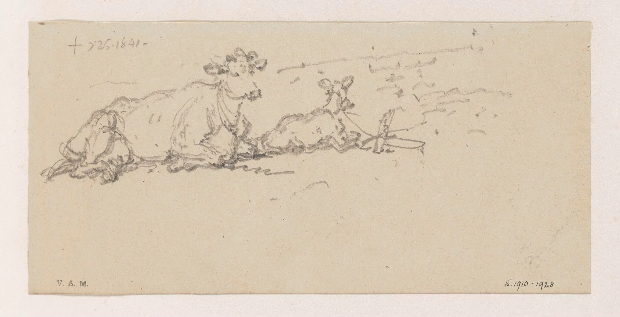 A cow with a tethered calf, detail
