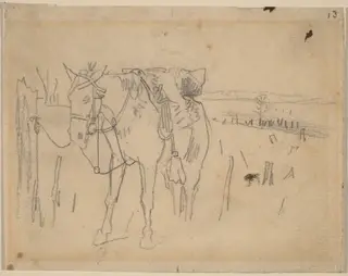 Tethered, by Winslow Homer, graphite, 1864