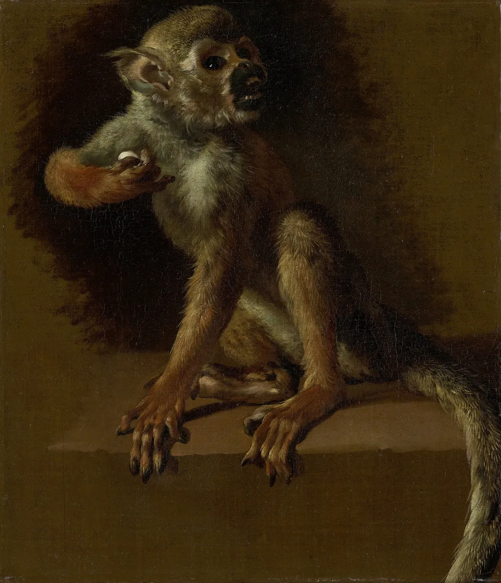 A Seated Monkey, by Jan Weenix, oil, 1690