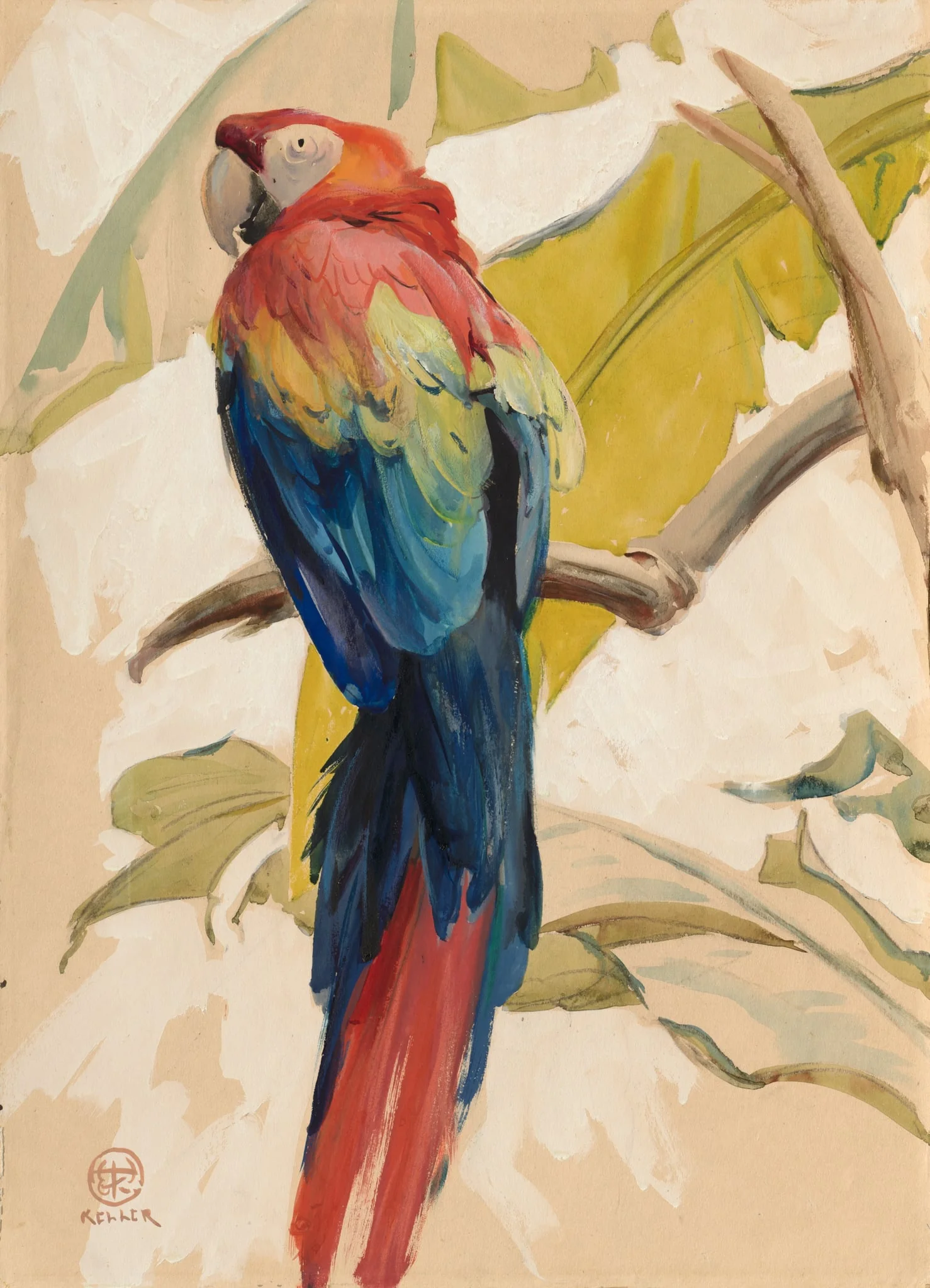 Old Grumpy, detail