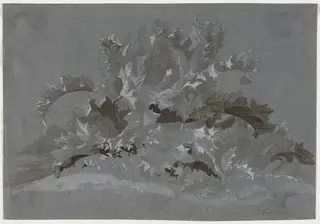 Study of Weeds, by Jean Antoine Linck, 1825