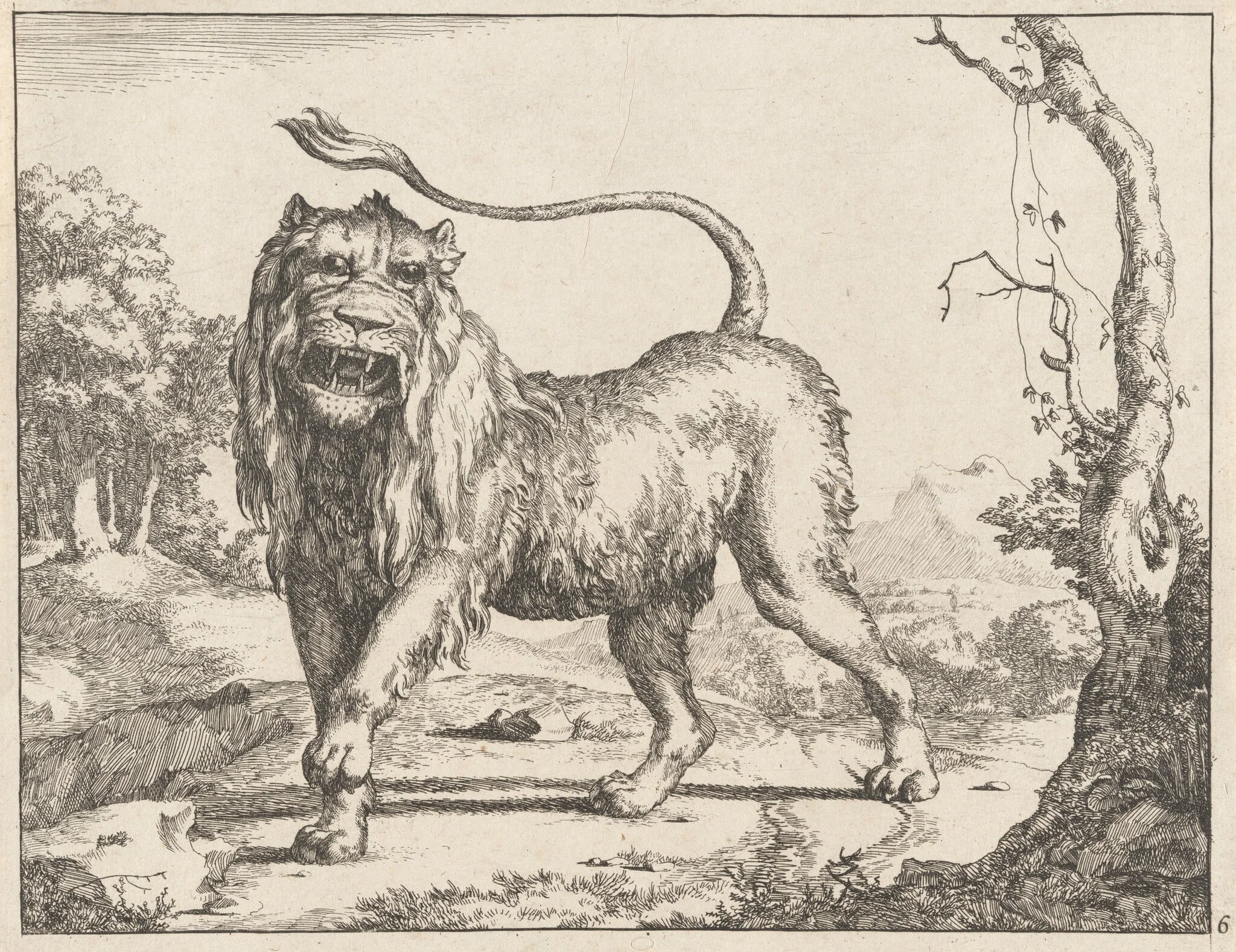 Lion, detail