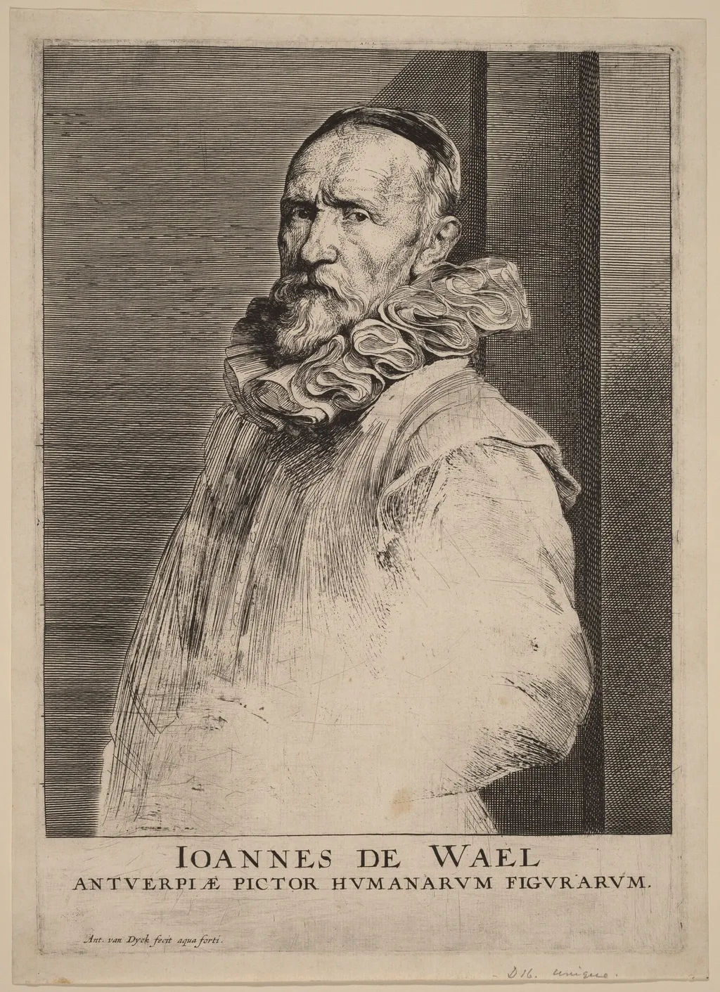 Jan de Wael, by Anthony van Dyck, ink, 1634