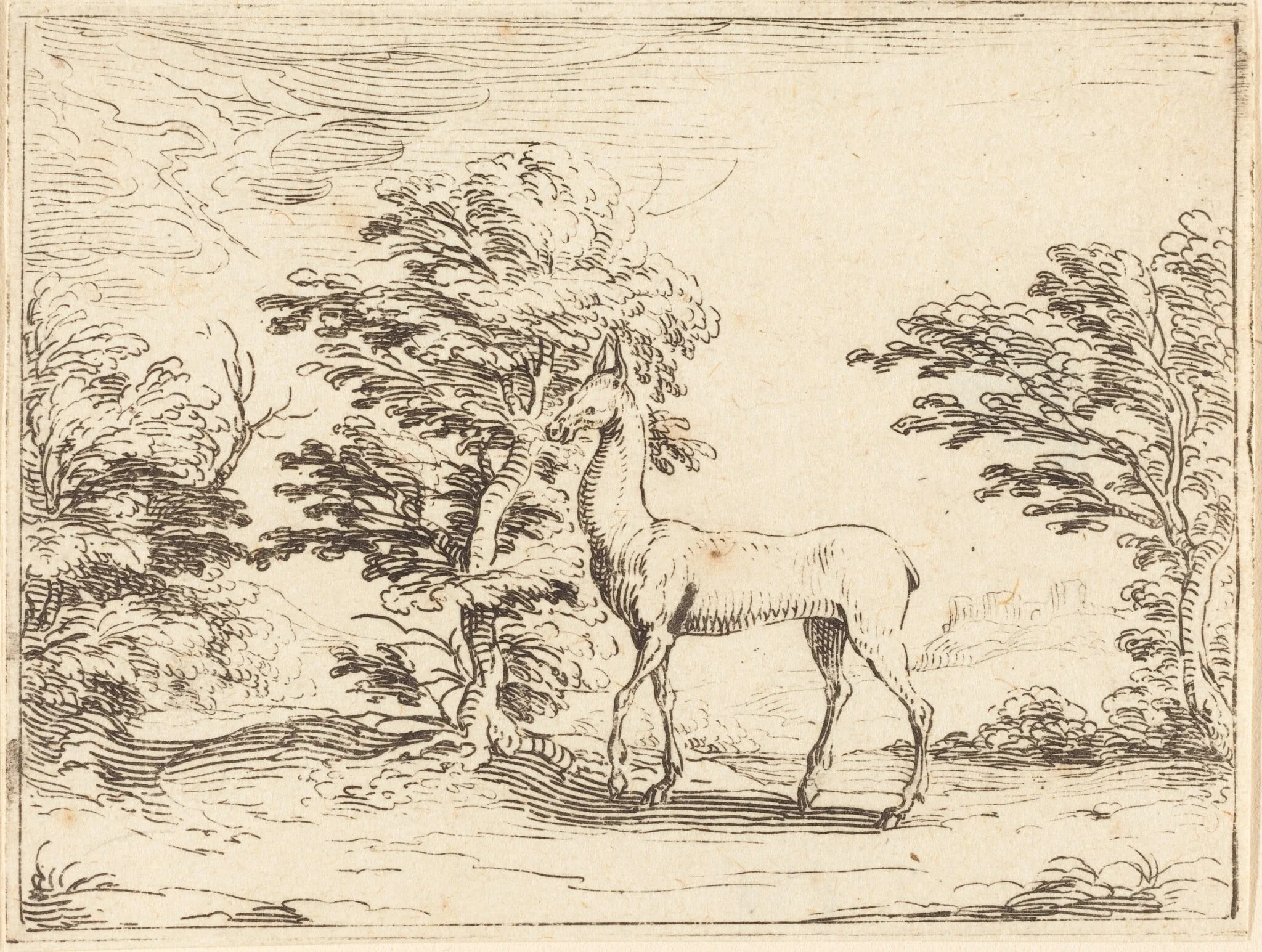 The Doe, detail