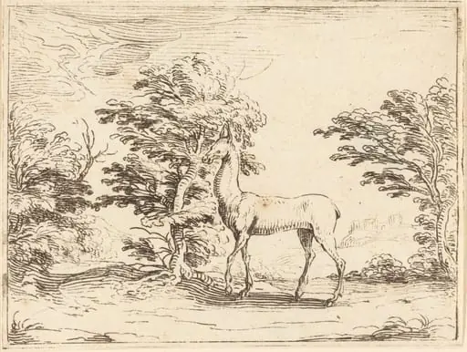The Doe, by Jacques Callot, ink, 1628
