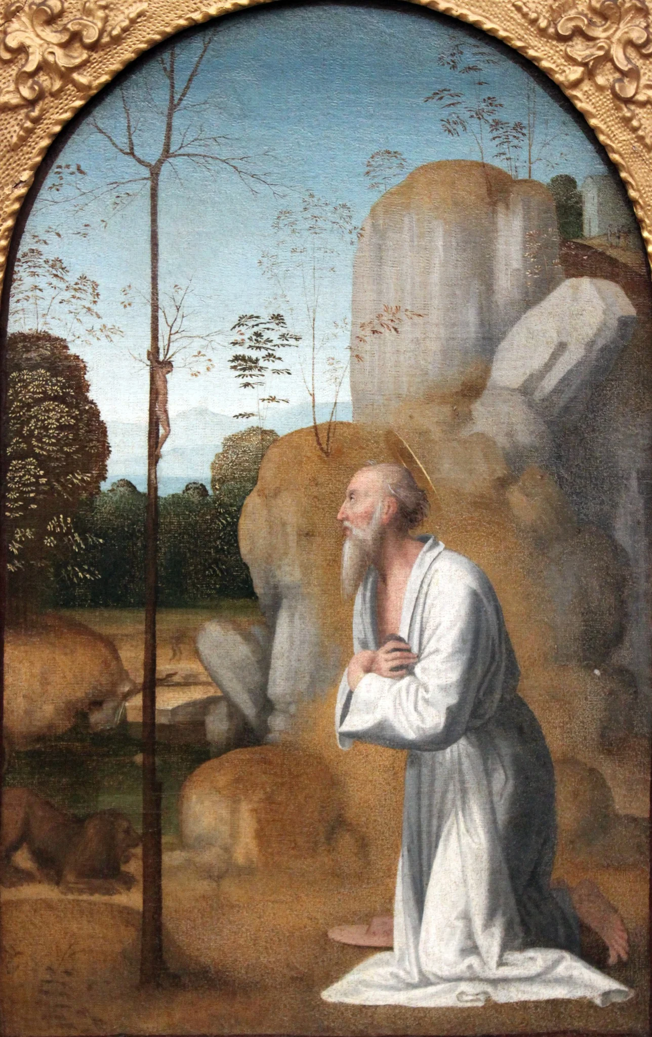 Penitent saint Jerome, detail