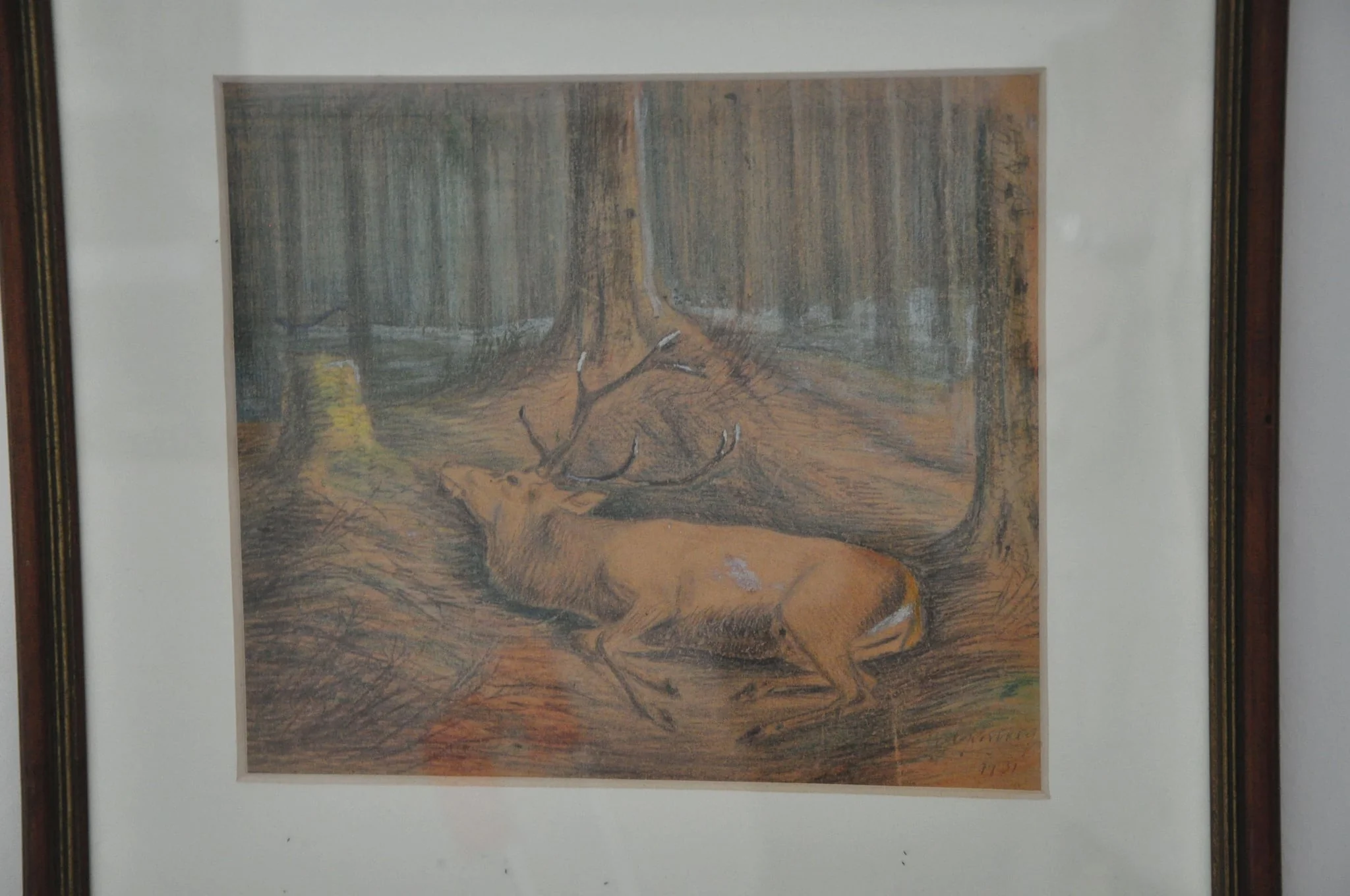 Erlegter Hirsch vor einem Baumstamm, detail