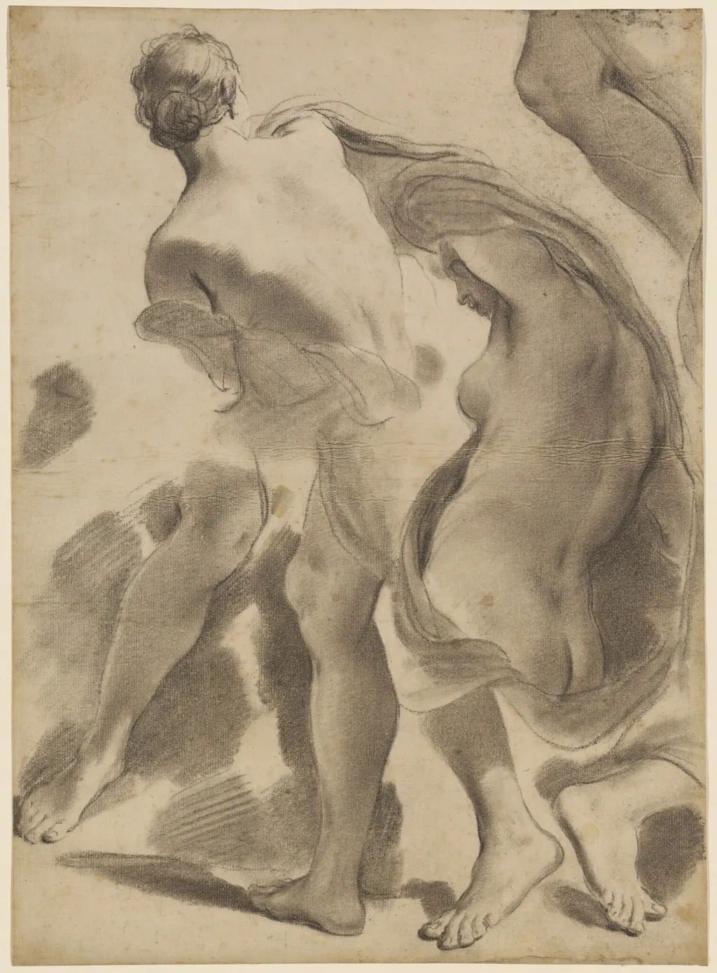 Studies of Female Nudes, by Gaetano Gandolfi, oil, 1788