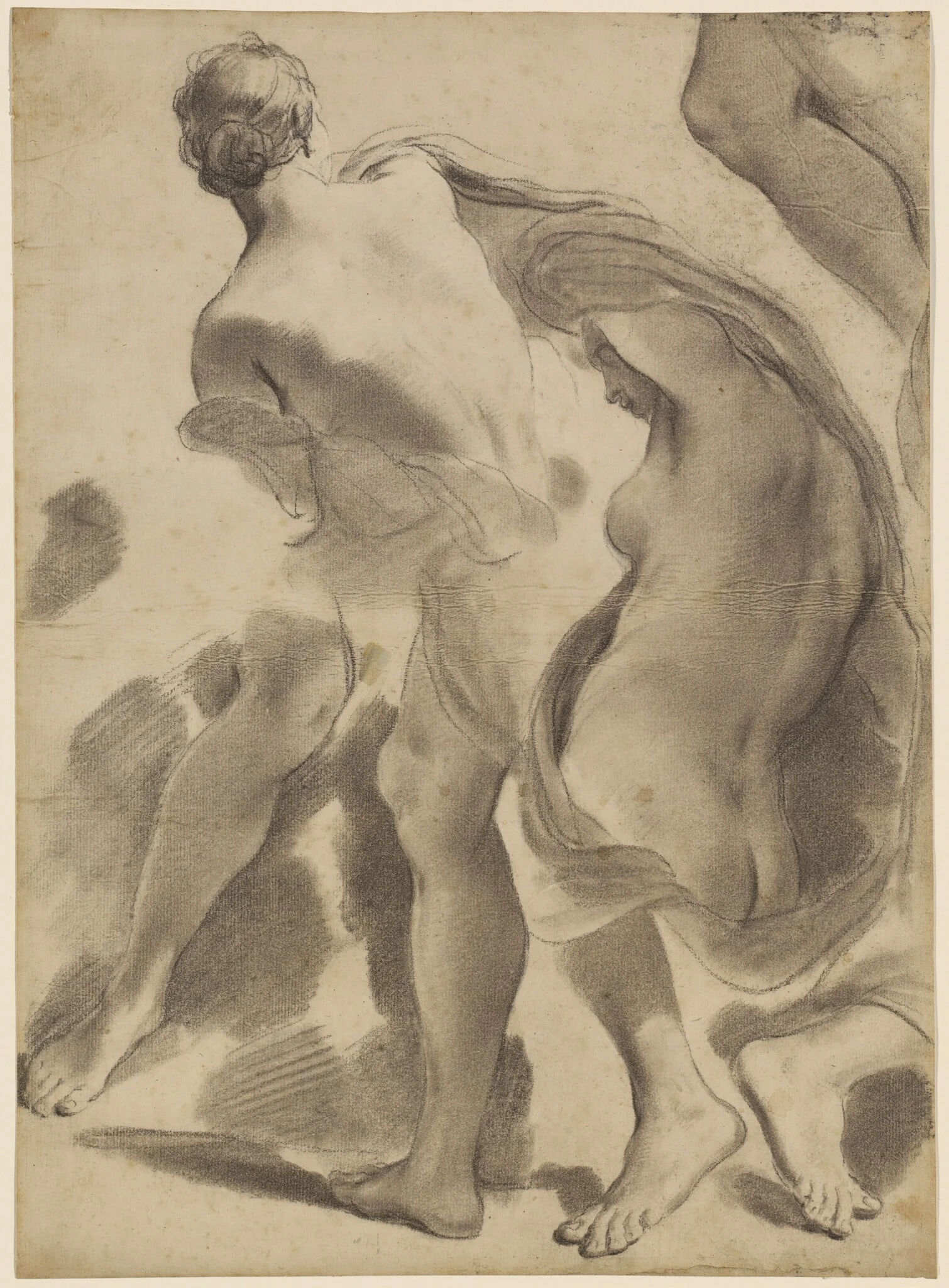 Studies of Female Nudes, detail