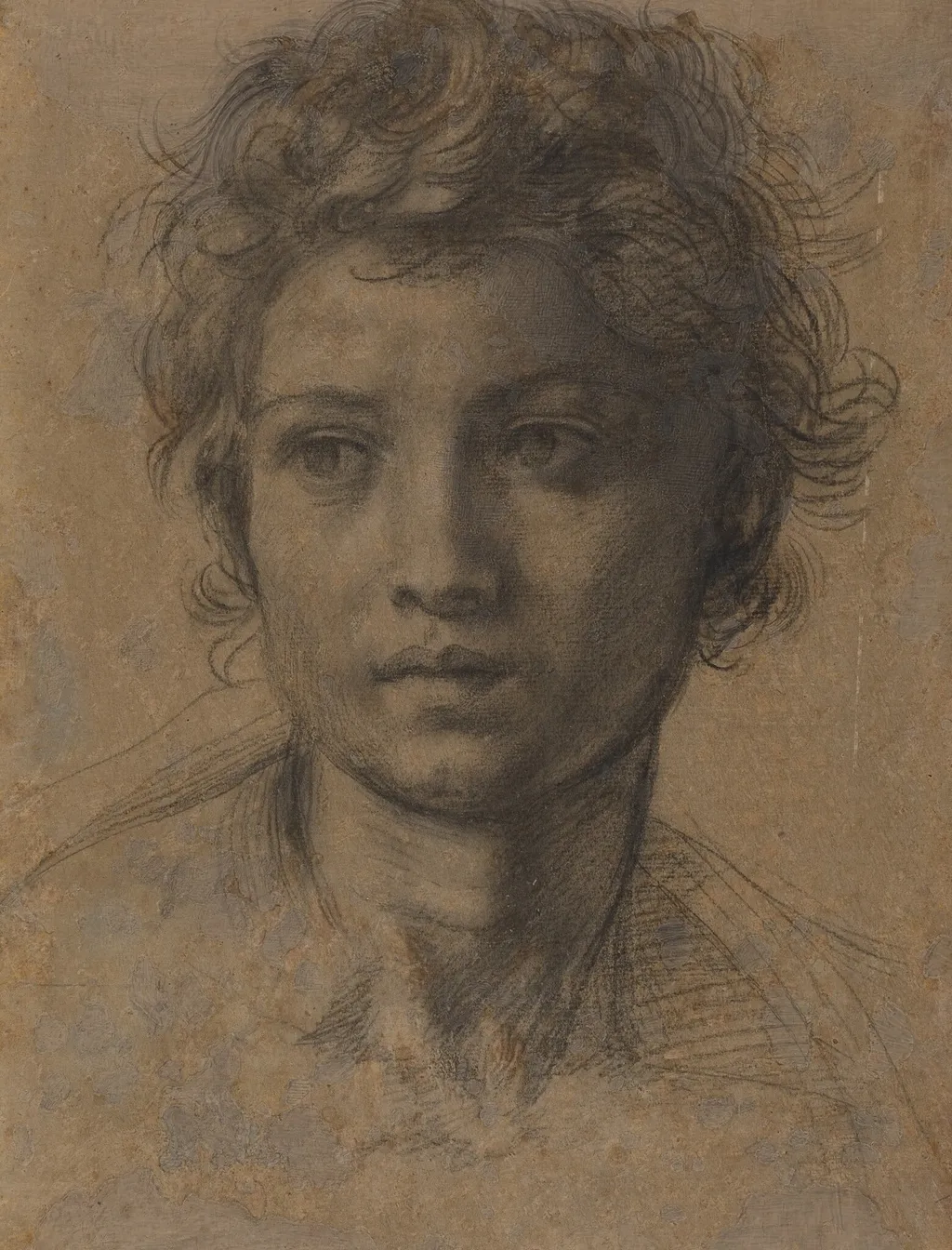 Head of Saint John the Baptist, by Andrea del Sarto, chalk, 1523