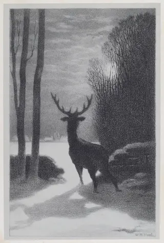Stag in the Moonlight, by William Morris Hunt, ink, 1857