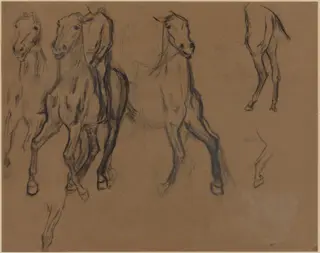 Study of Horses, by Edgar Degas, graphite, 1886