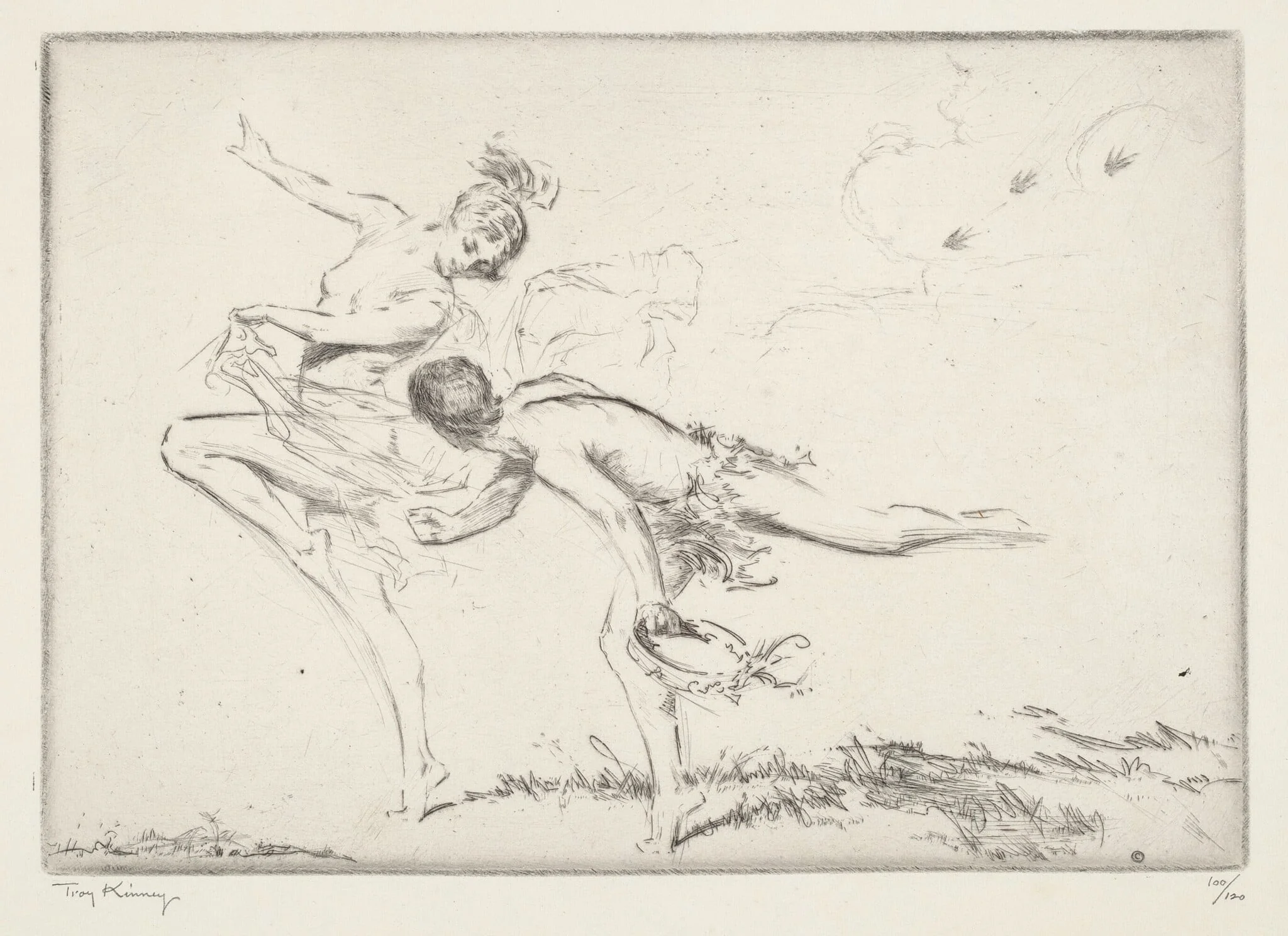 Swallows, detail