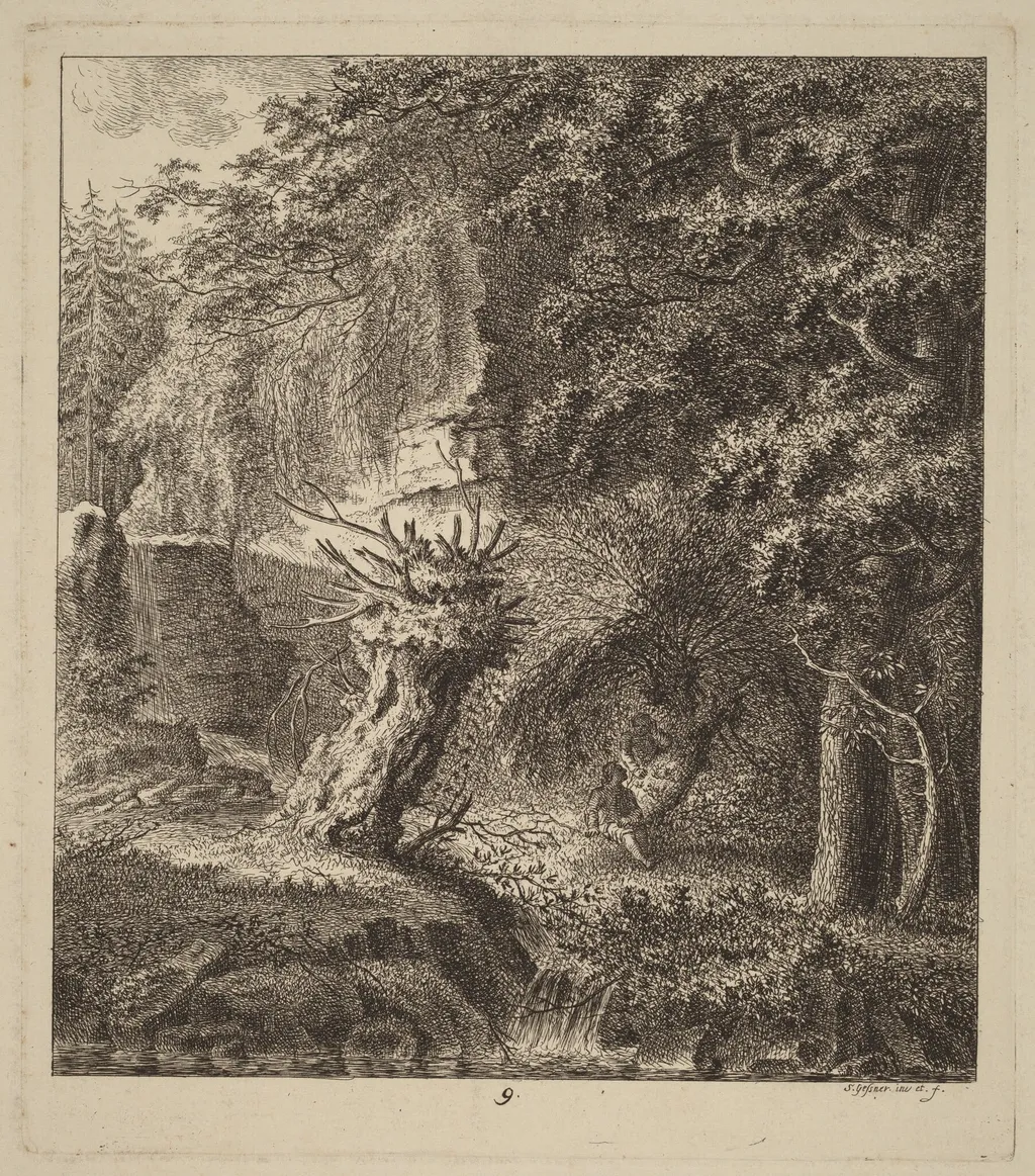 Wooded Landscape with a Pollarded Tree, by Salomon Gessner, ink, 1764