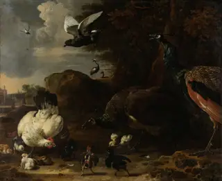 Two Peacocks Threatening a Hen with Chicks, Known as ‘The Threatened Hen’, by Melchior d' Hondecoeter, oil, 1691