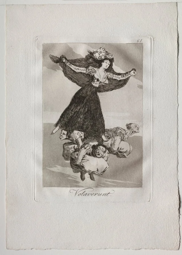 They Have Flown, Plate 61, detail