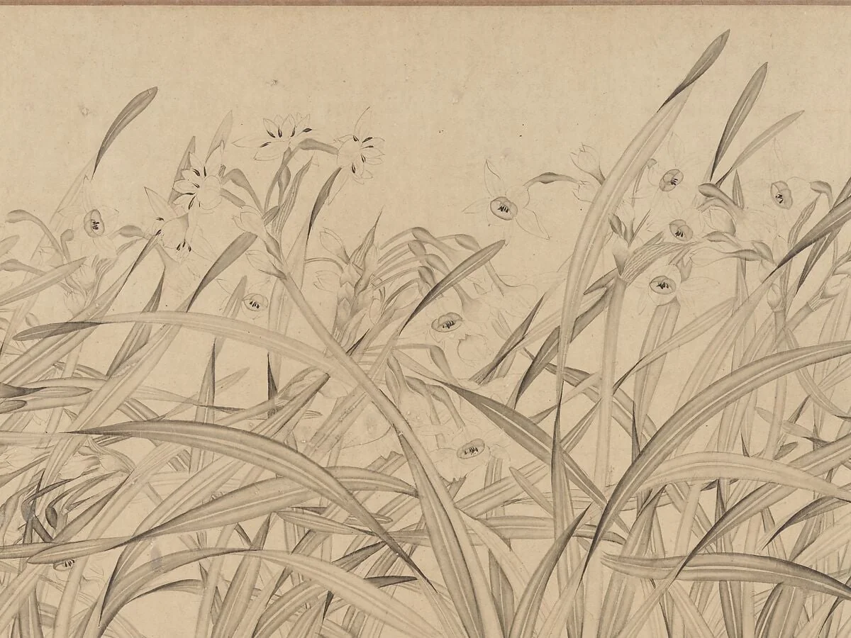 南宋 趙孟堅 水仙圖 卷|Narcissus, detail