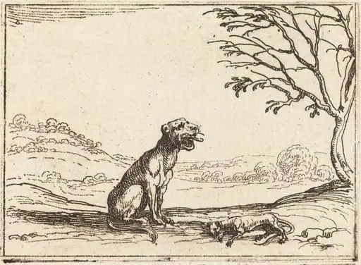 Lioness Mourning her Cub, by Jacques Callot, ink, 1628