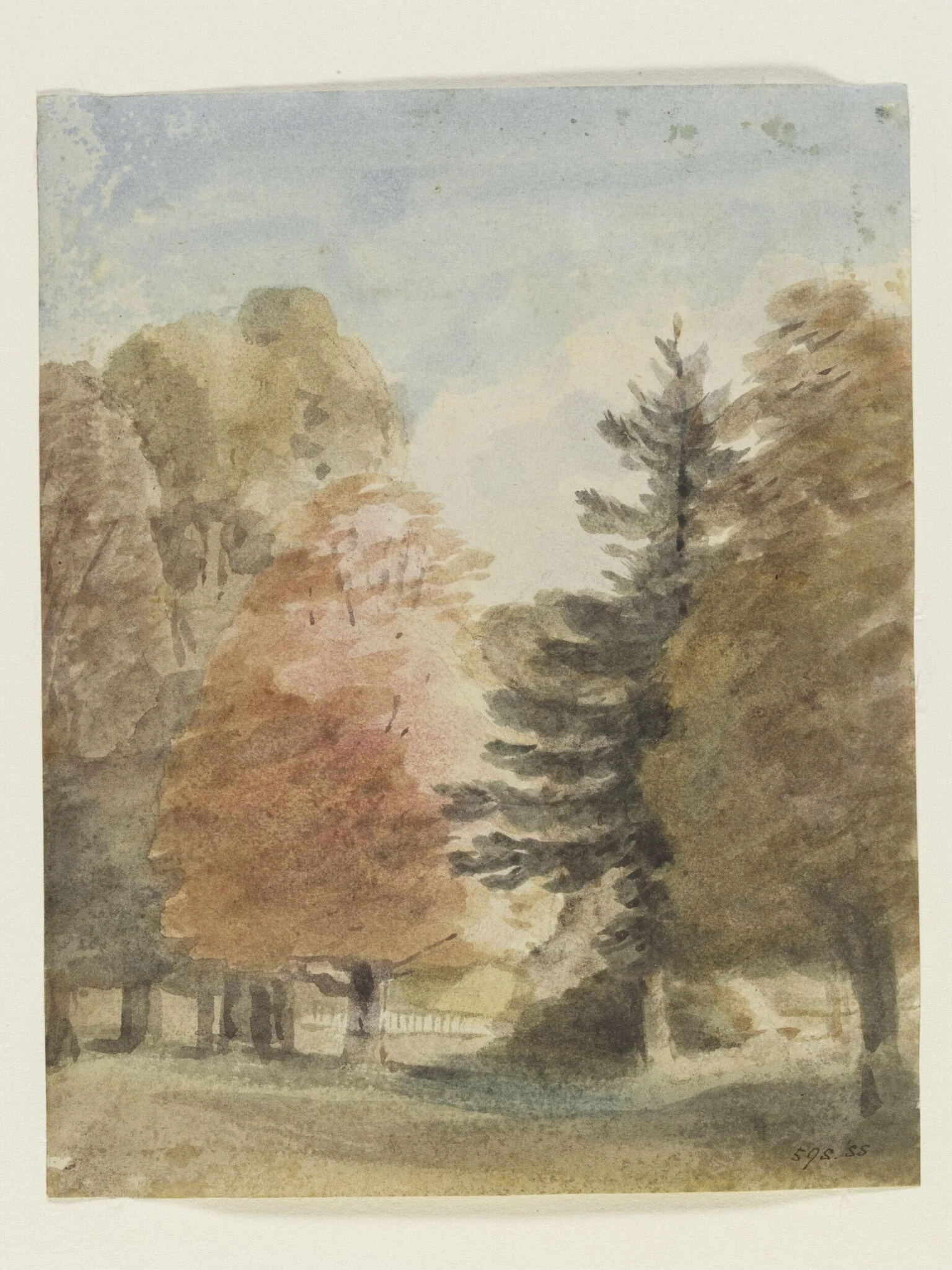 Study of trees in a park, perhaps Helmingham Park, detail