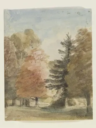Study of trees in a park, perhaps Helmingham Park, by John Constable, watercolor, 3