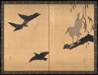 Egrets and Crows, by Shibata Zeshin, unspecified