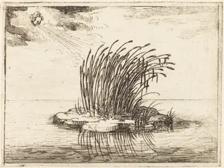 The Reeds and the Wind, by Jacques Callot, ink, 1628