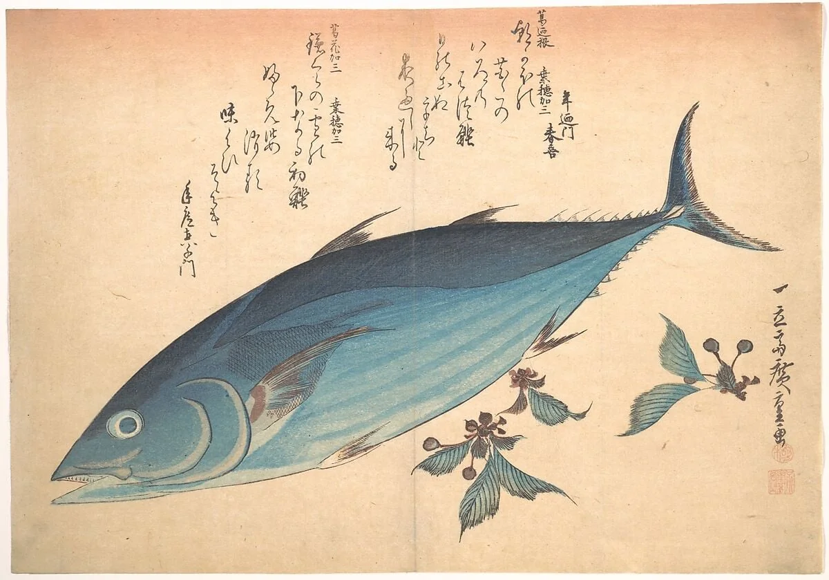 魚づくし 鰹に桜|Katsuo Fish with Cherry Buds, from the series Uozukushi (Every Variety of Fish), detail
