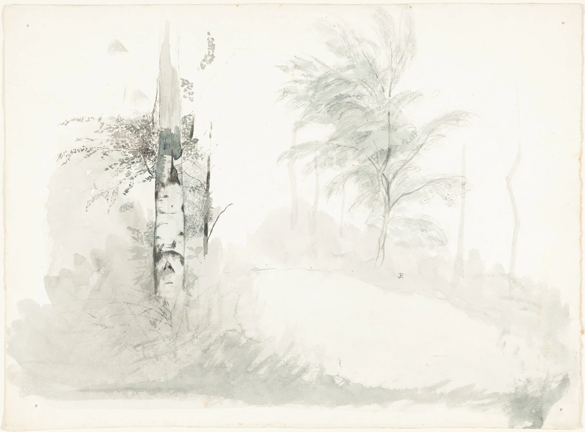 Tree Study, detail