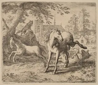 The Mare and the Wolf, by Allart van Everdingen, ink, 1650