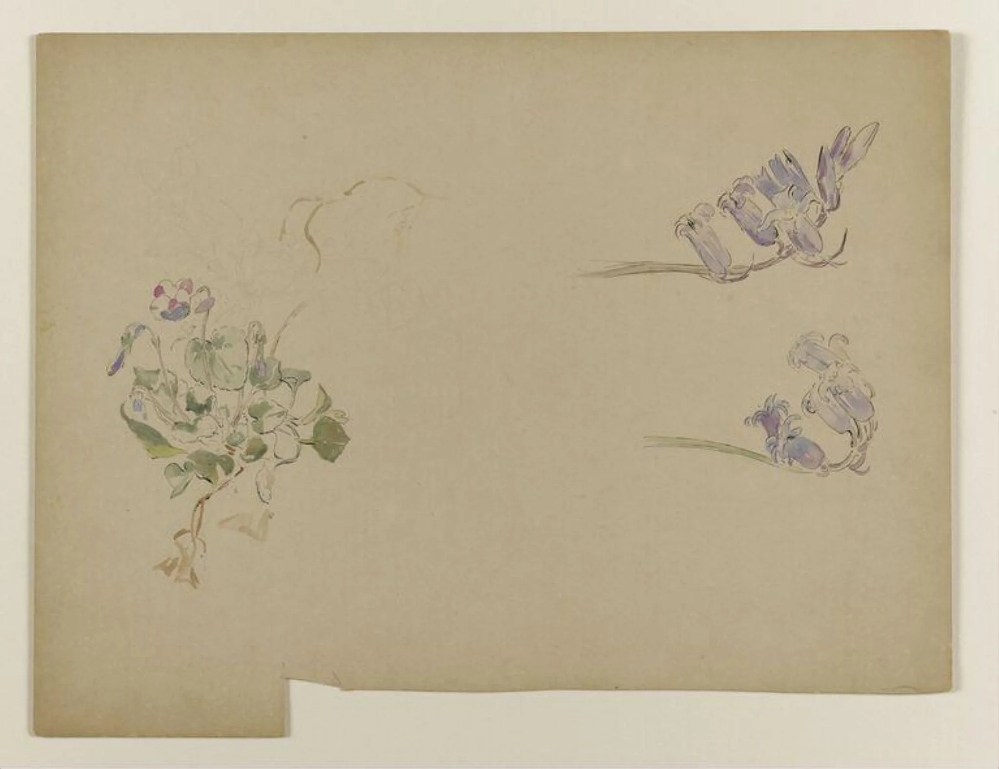 Violets and bluebells, detail