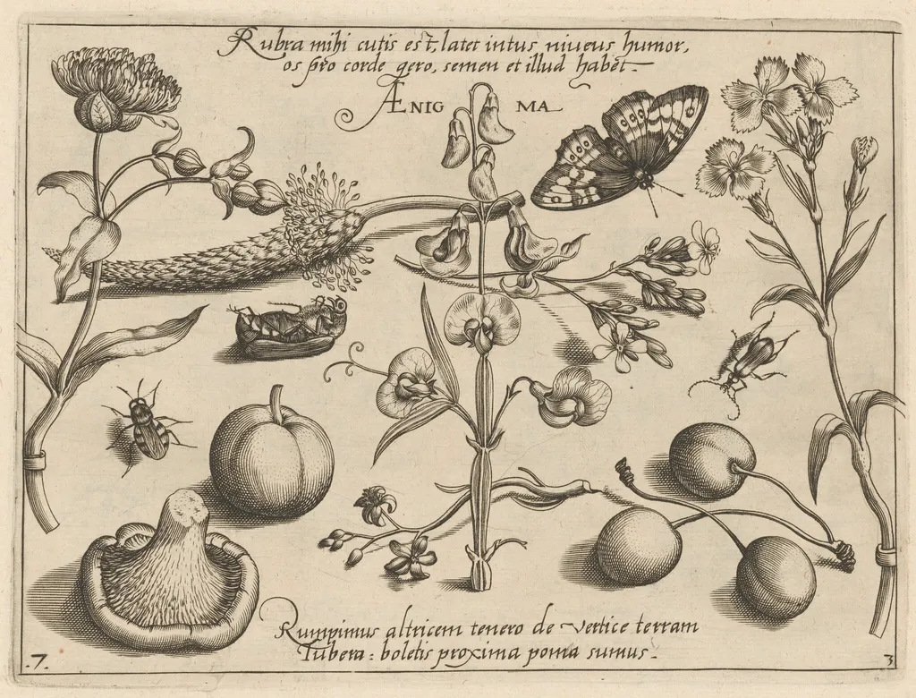 Archetypa studiaque patris Georgii Hoefnagelii [Part 3, Plate 7], by Jacob Hoefnagel, ink, 1592