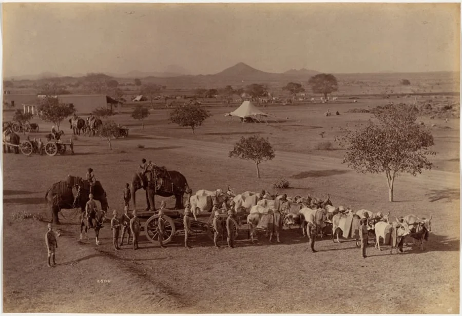 Heavy Field Battery, Jhansi, detail